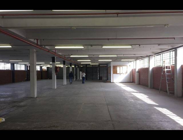 1,800M² WAREHOUSE TO LET IN MAITLAND
